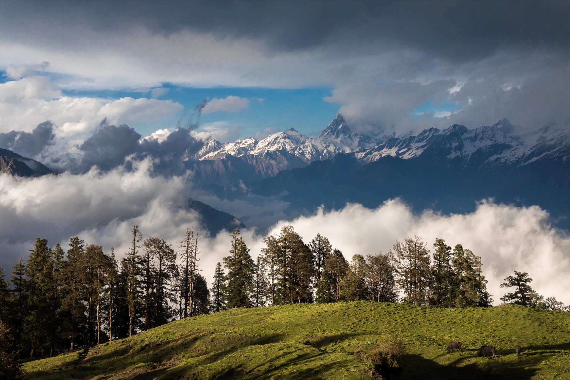 1. Chopta Tungnath Trek